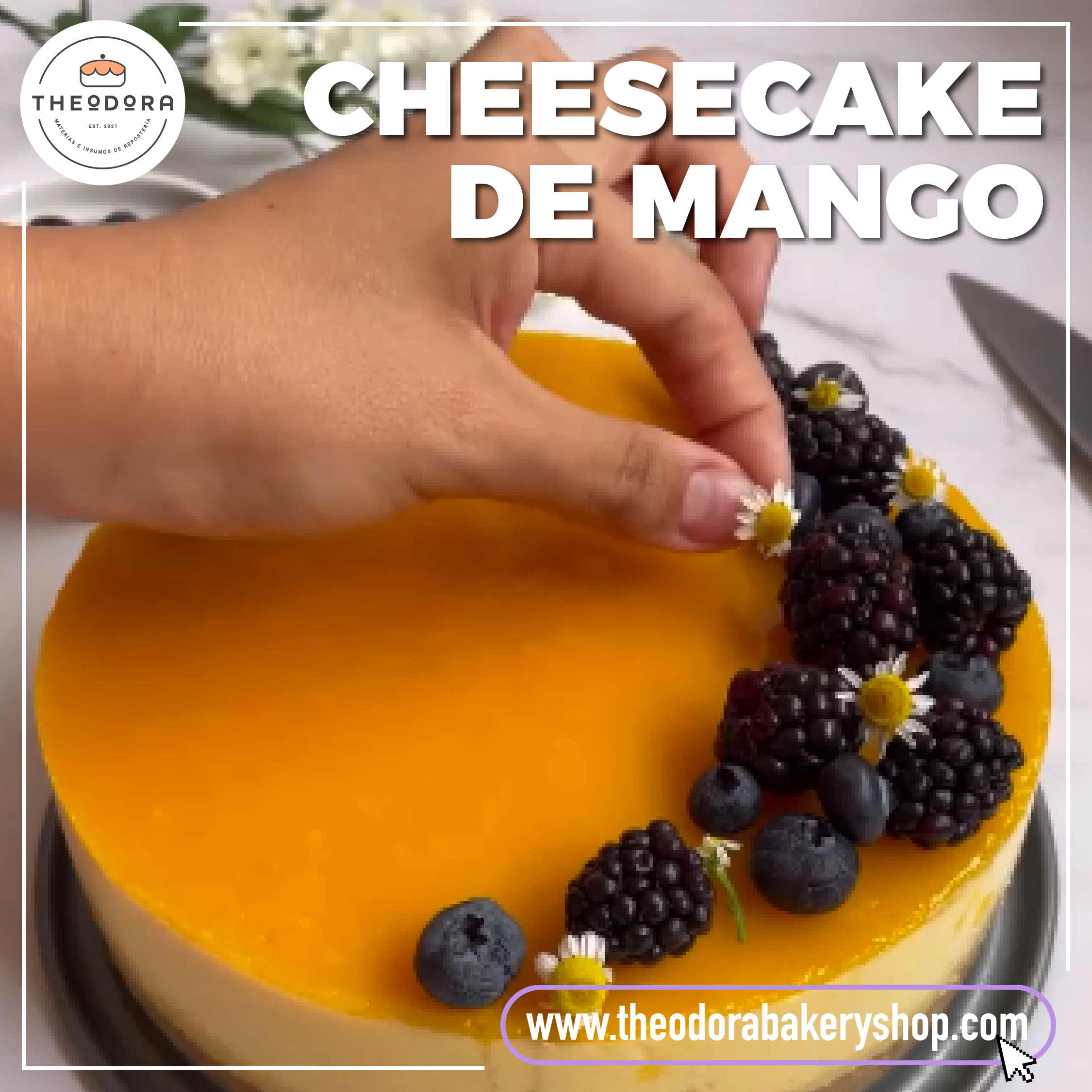 Cheesecake de mango